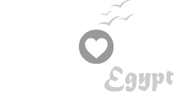 Adore Jordan Logo